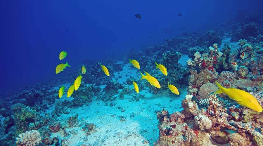 Hurghada